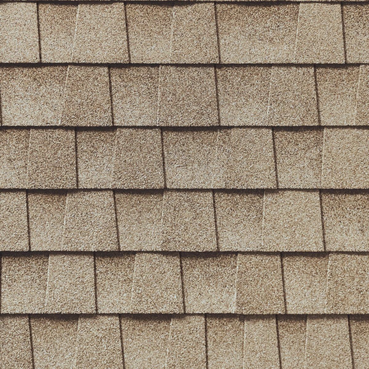 Robin's Roofing Images