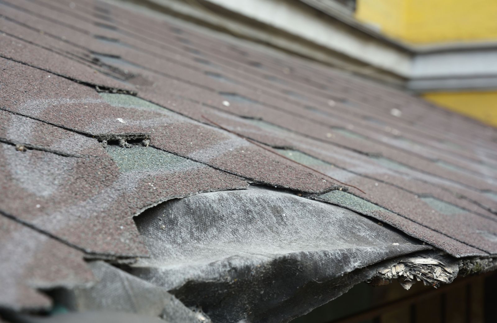Robin's Roofing Images